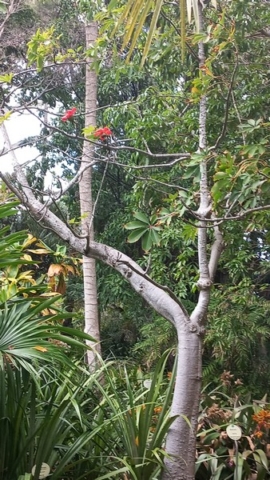 JardinBotanico_TG_42