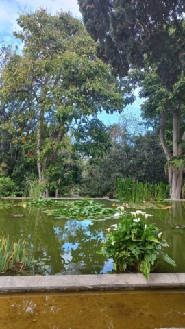 JardinBotanico_TG_43