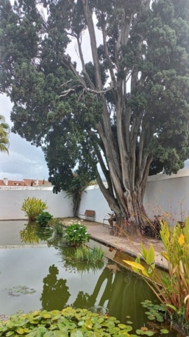 JardinBotanico_TG_45