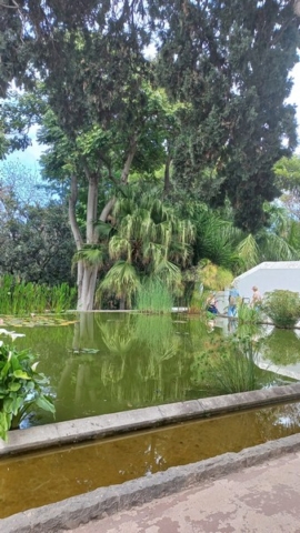 JardinBotanico_TG_47