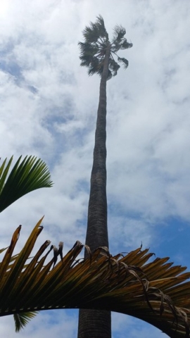 JardinBotanico_TG_53