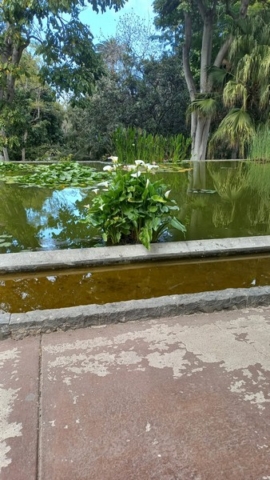 JardinBotanico_TG_55
