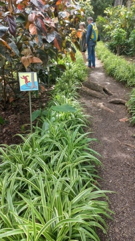 JardinBotanico_TG_58