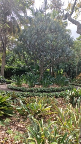 JardinBotanico_TG_61