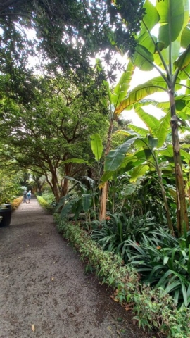 JardinBotanico_TG_62