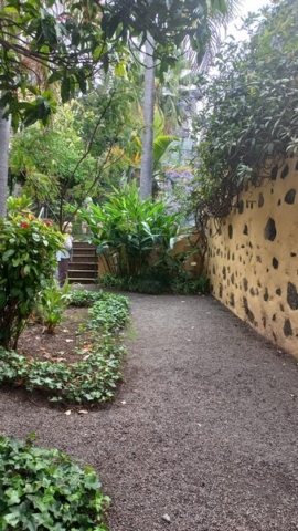JardinBotanico_TG_67