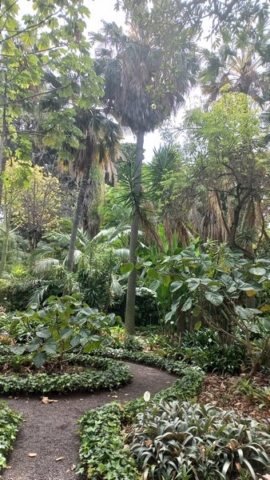 JardinBotanico_TG_68