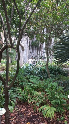 JardinBotanico_TG_71
