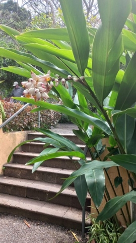 JardinBotanico_TG_73