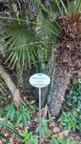 JardinBotanico_TG_76
