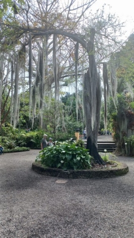 JardinBotanico_TG_77