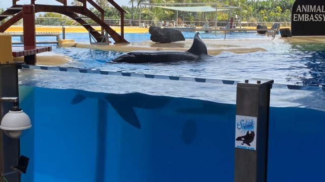 LoroParque_110