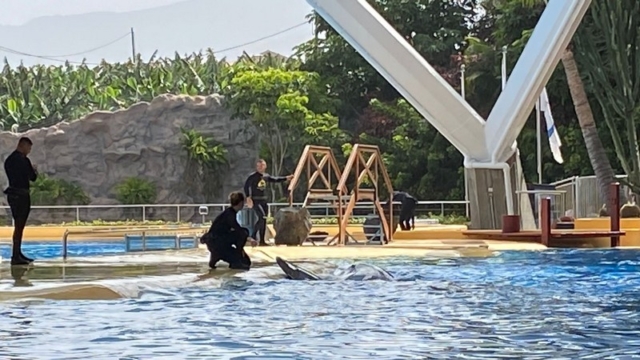 LoroParque_38