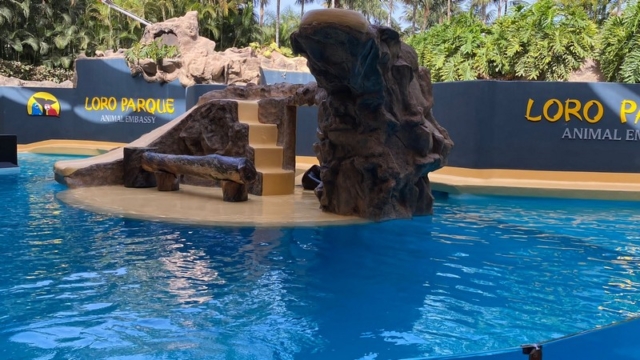 LoroParque_40