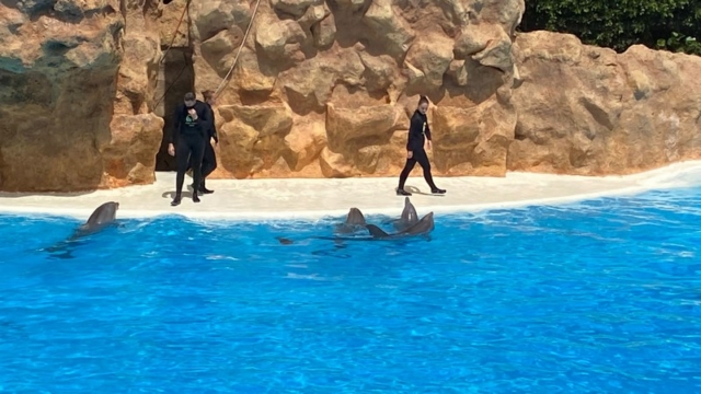 LoroParque_42