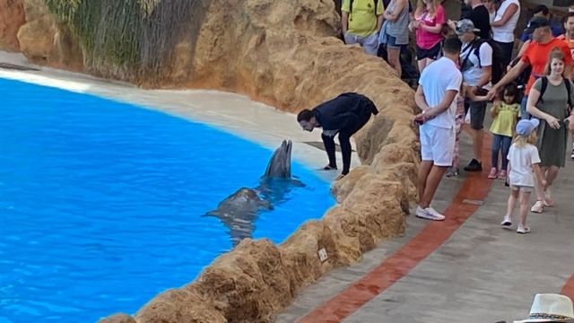 LoroParque_61
