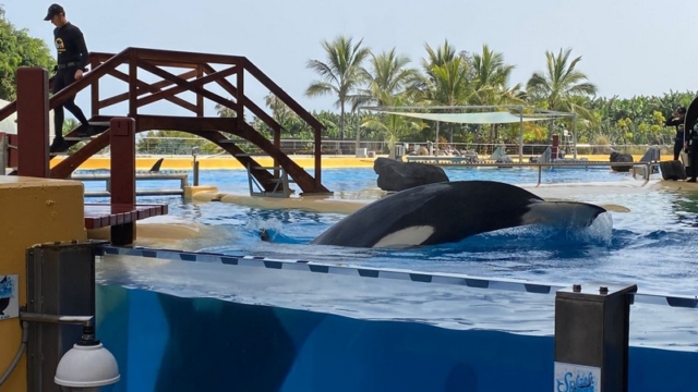 LoroParque_67