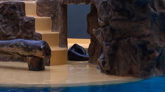 LoroParque_81