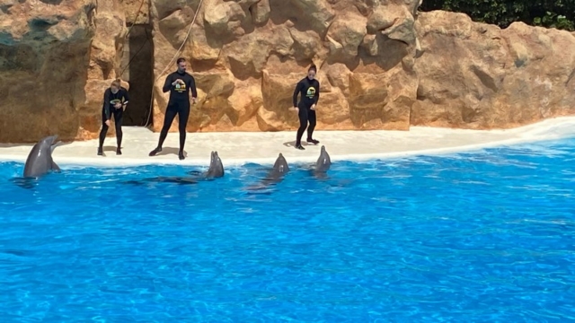 LoroParque_87