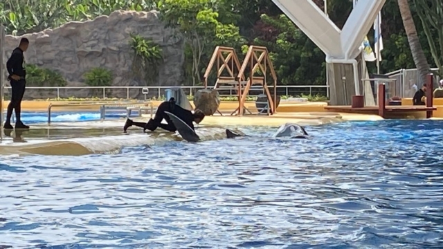 LoroParque_88