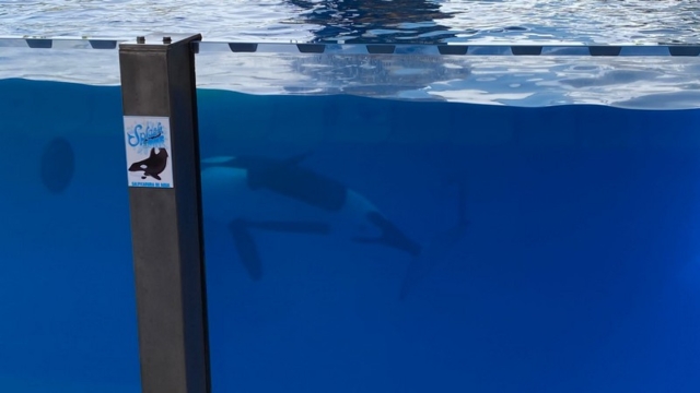 LoroParque_90