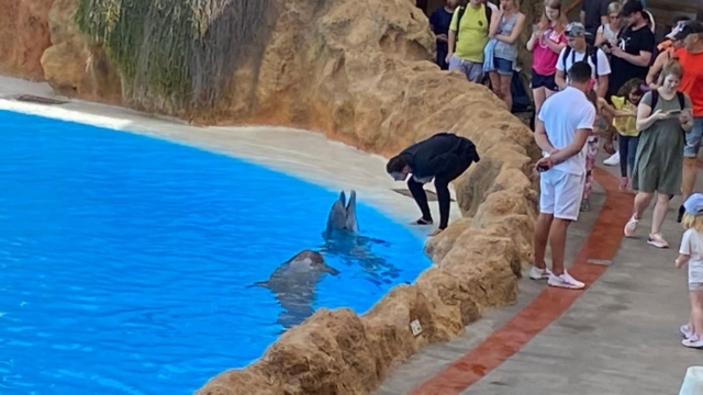 LoroParque_91