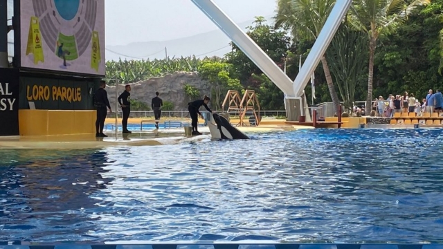 LoroParque_96