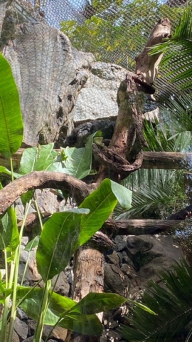 LoroParque_99